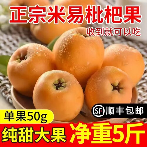 正宗四川米易枇杷当季特级鲜果新鲜水果
