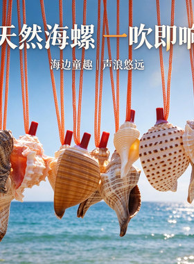 天然贝壳海螺大号口哨摆件