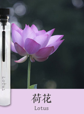 初闻荷花味香水女士脱俗淡香持久清新莲花味睡莲花香