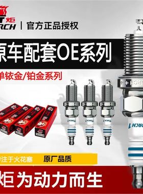 火炬OE208 LDK8RTIP铱铂金火花塞奇瑞瑞虎7艾瑞泽5捷途星途原厂