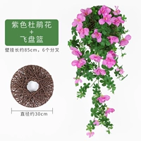 Рододендронная стена висит фиолетовый+летающая корзина