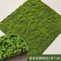 Star Moss Bulge 1 метр x 1 метр