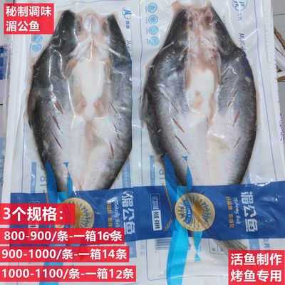 腌制烤鱼专用湄公鱼吉克商用食材