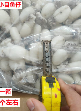 墨鱼仔海鲜火锅食材去内脏冷冻