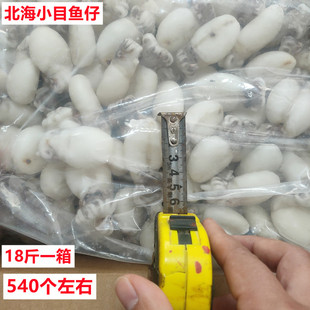 新鲜冷冻墨鱼仔毛重18斤约540只海鲜商用火锅食材三去目鱼仔 包邮