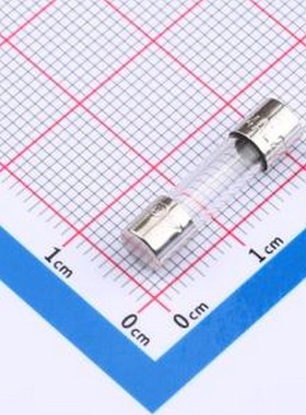 0217004.HXP 一次性保险丝 250V