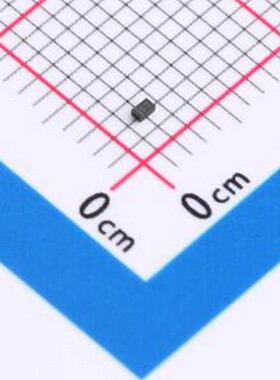 10只 BV05CP-G 静电和浪涌保护(TVS/ESD) BV05CP-G DFN1006-2