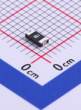 10只 SMD1206B005TF 自恢复保险丝 30V 50mA 1206自恢复 1206