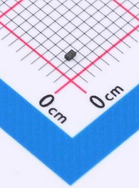 10只 GBLC05CP 静电和浪涌保护(TVS/ESD) GBLC05CP DFN1006-2