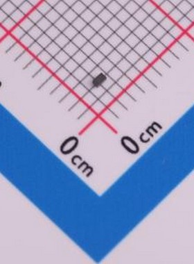TS0301TBX 静电和浪涌保护(TVS/ESD) TS0301TB DFN1006-2L