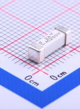 0443002.DR 一次性保险丝 250V贴片式保险丝 SMD,10.1x3.1mm