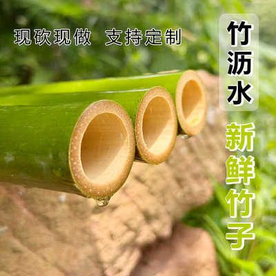 可烤出水新鲜现砍现做竹筒