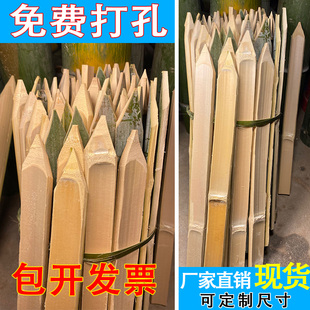 工地放样测量用单头竹片桩竹条尖头地桩毛竹桩工程竹子桩测绘竹桩
