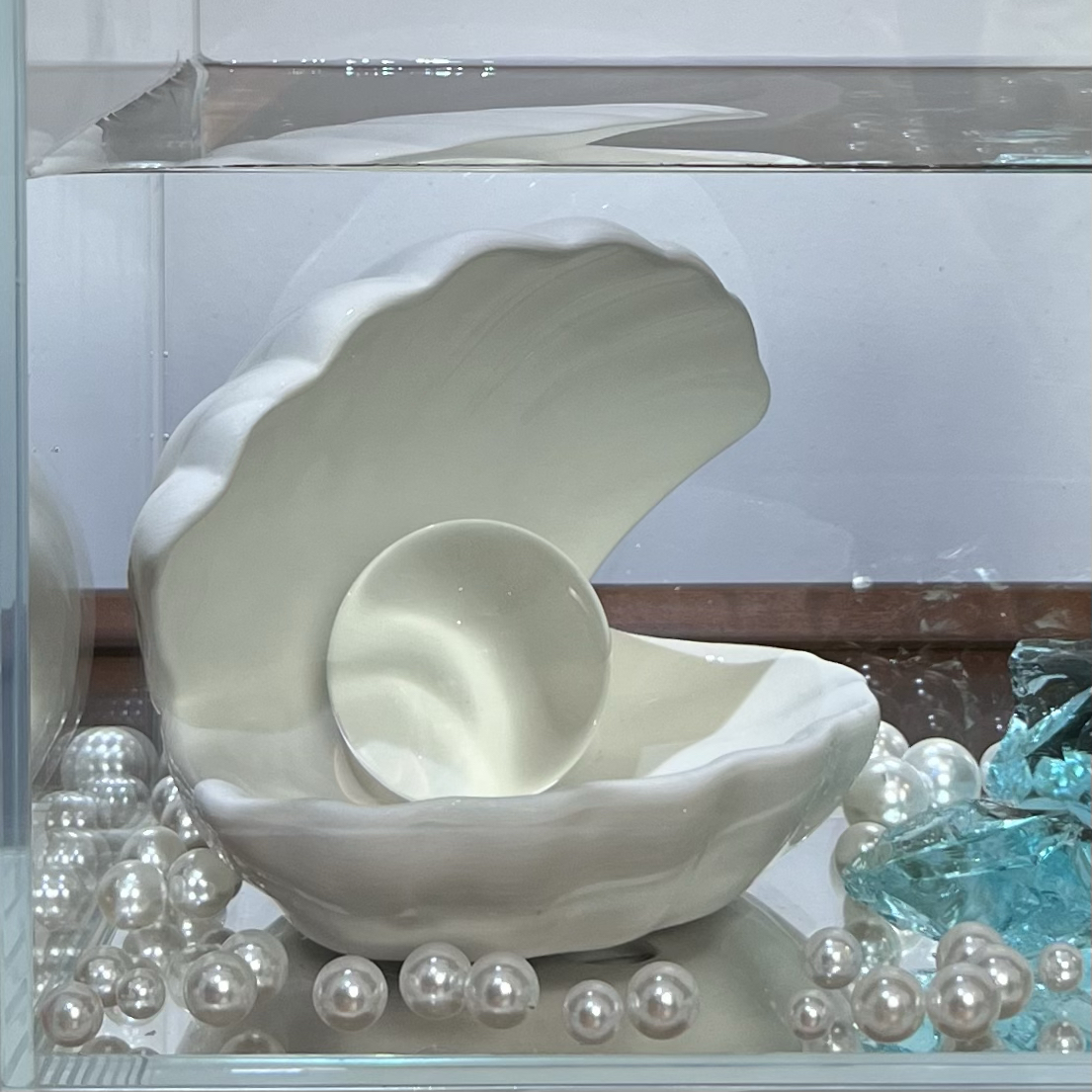 新品！陶瓷贝壳北欧桌面摆件首饰收纳盘少女心礼物鱼缸装饰摆件