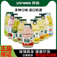 养味牛奶草莓香蕉甜牛奶饮料早餐奶酸奶百香果乳酸菌饮料yanwee奶