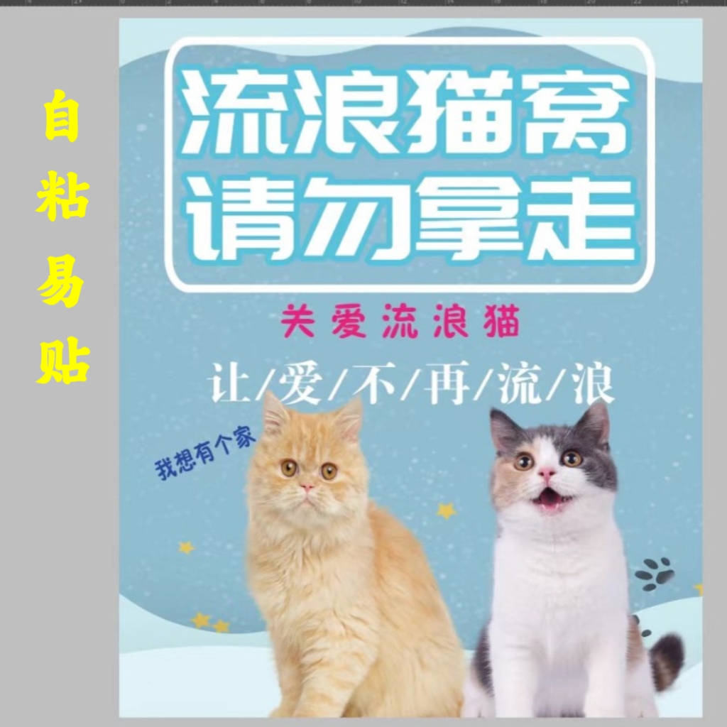 流浪猫窝室外防水标语贴纸自粘胶包邮