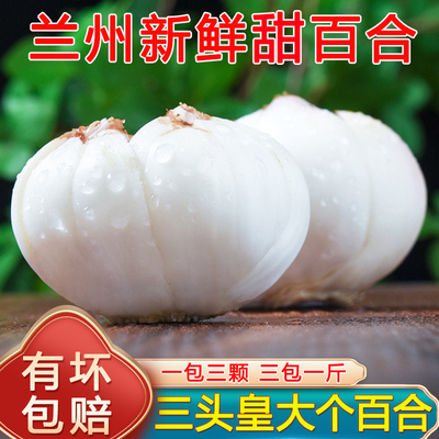 甘肃特产兰州新鲜甜百合可食用非干货三头皇当季新挖送礼佳品500g