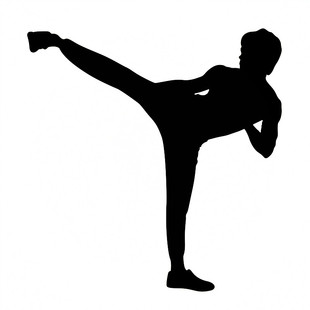 防水反光汽车贴纸武术功夫格斗截拳道侧踢A58李小龙经典踢腿动作