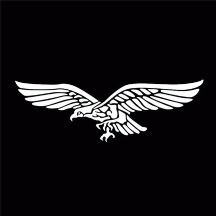 防水反光汽车贴纸电动摩托二战空军老鹰徽A247德国雄鹰标车贴