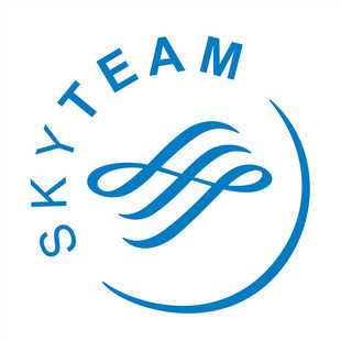 防水反光汽车贴纸电动摩托航空公司A134天合联盟标志SKYTEAM