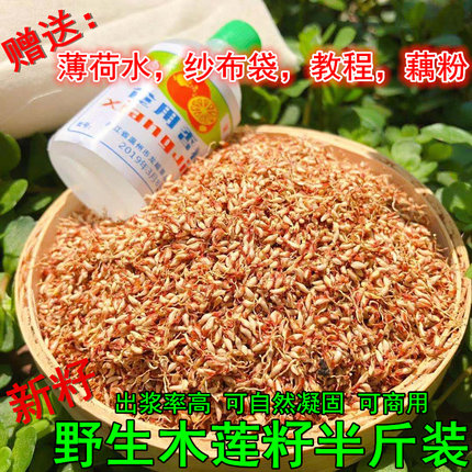 野生木莲籽木莲豆腐籽浙江诸暨特产木莲子薜荔冰粉籽250g爱玉子籽
