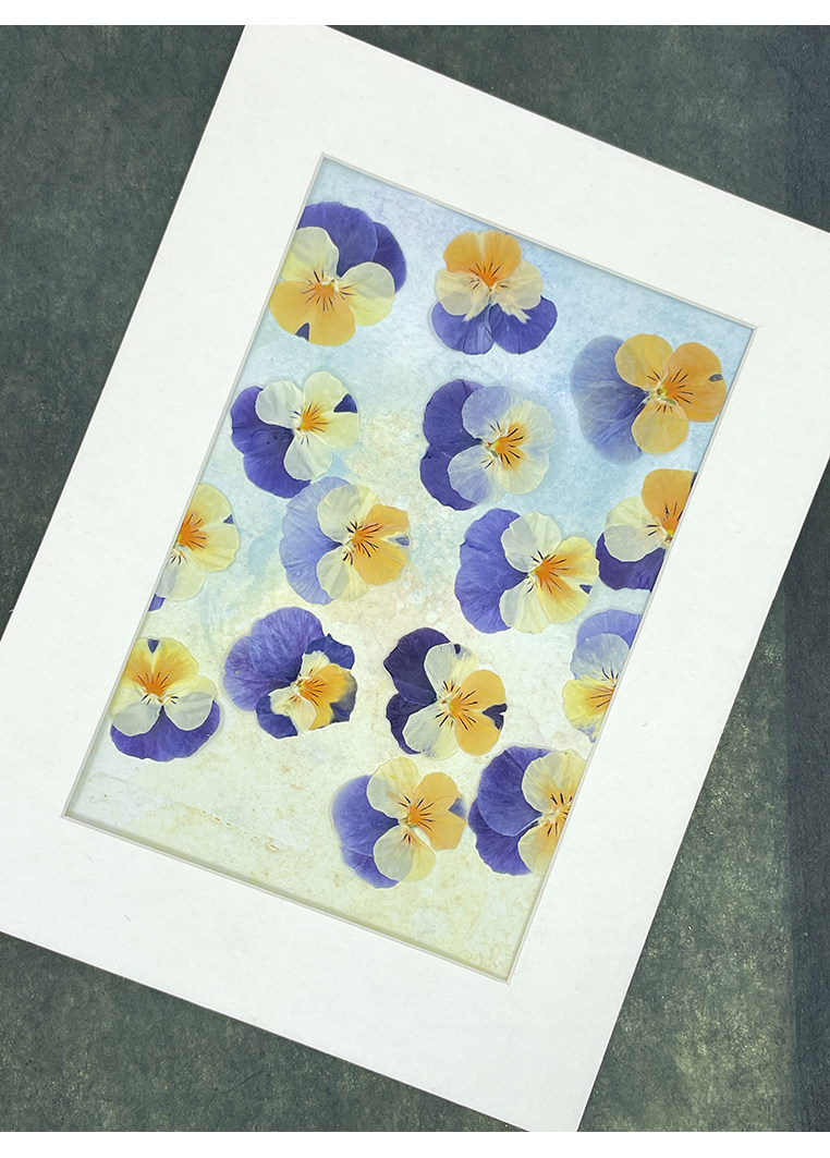 花未落角堇三色堇创意干花押花手作森系INS 风压花滴胶书签材料包,鲜花速递/花卉仿真/绿植园艺,干花,淘宝优惠券,粉丝福利购,淘宝优惠卷