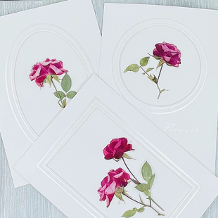 压花台灯花材押花团扇资材小玫瑰 pressed flowers幹花押し花真花