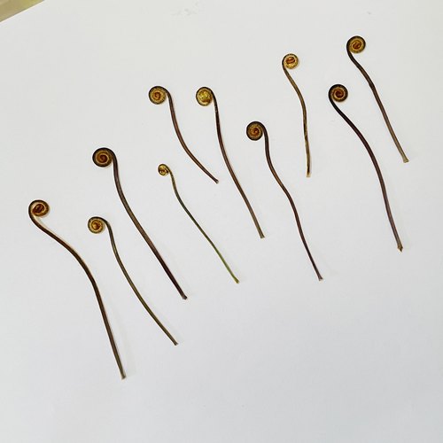 芒萁铁狼萁干花聪明谷手工教室