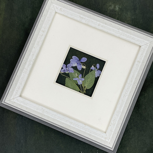 还亮草创意DIY压花台灯花材押花团扇滴胶干花pressed flowers真花