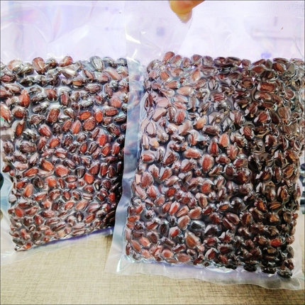 25年新货盐水煮松子大粒湿松子咸味雪松子解馋零食坚果东北特产