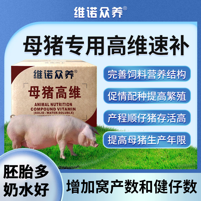 母猪高维复合维生素兽用预混料提高繁殖配种增加奶水量饲料添加剂