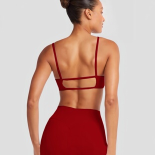 欧美式 运动文胸女健身内衣美背吊带速干裸感瑜伽背心辣妹防震聚拢