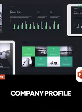 Company Profile简洁科技商务企业公司介绍PPT幻灯片演示文稿模版