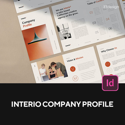 20页公司企业宣传册作品集文案介绍排版版式编辑模版indesign格式