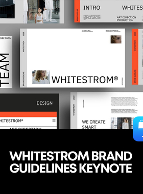 30张极简logo标识视觉导视平面VI设计展示排版版式keynote模版