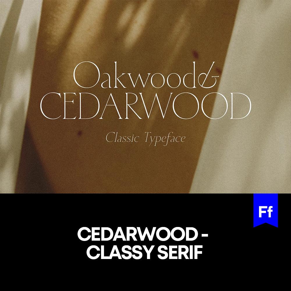 Cedarwood 1款精致时尚衬线体英文字体logo标识字体安装下载mac