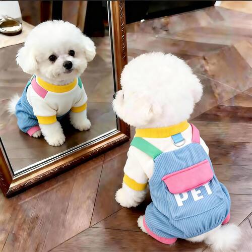 狗狗冬季衣服新款多巴胺卫衣背心宠物比熊泰迪博美中小型犬衣服
