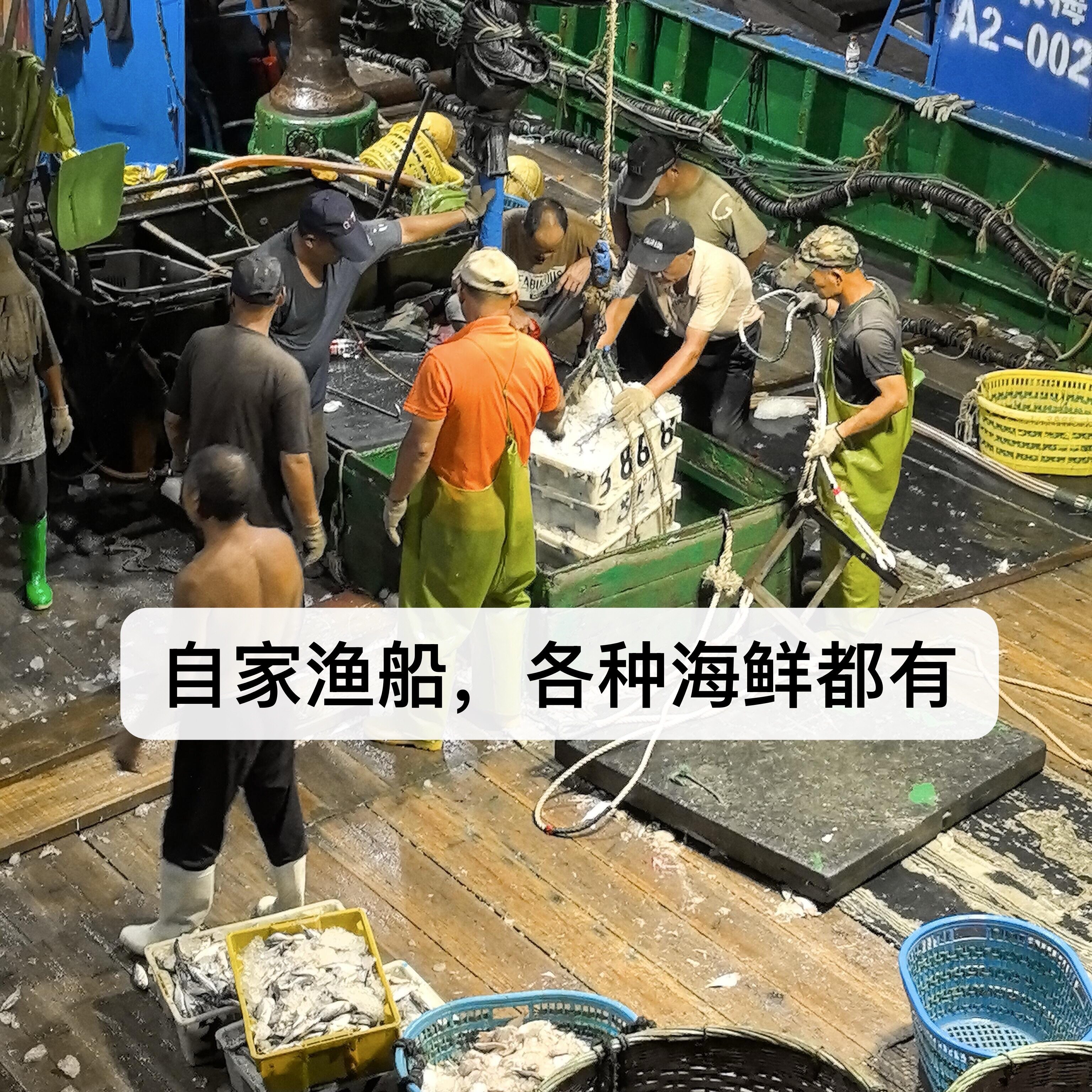 自家渔船鲜活野生斑鱼虾蟹贝壳类皮皮虾新鲜送货到家