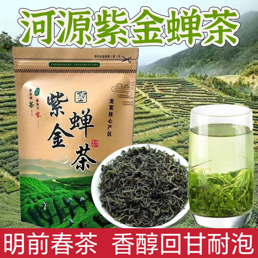 2026新茶广东河源特产紫金茶蝉茶绿茶浓香型500g虫咬茶蜜味龙窝