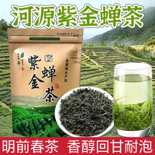 2026新茶广东河源特产紫金茶蝉茶绿茶浓香型500g虫咬茶蜜味龙窝