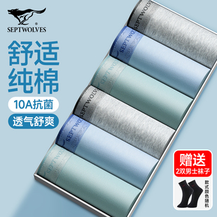 纯棉裤 衩男生四角短裤 大码 七匹狼男士 10A抗菌平角裤 新款 男款 内裤