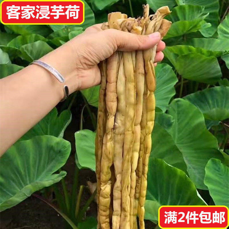 满2包邮 农家浸芋荷梗下饭芋头苗泡菜酸腌芋荷杆干野生菜客家特产