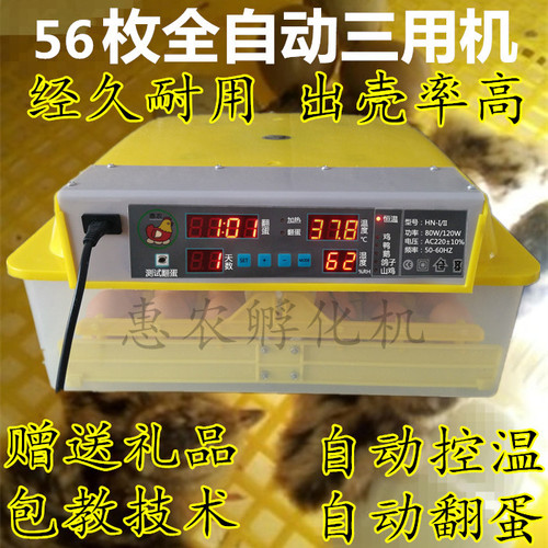 小型高端耐用孵化器自制小卵化箱