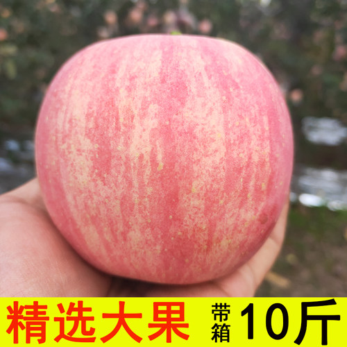 山西万荣红富士冰糖心带箱带皮吃