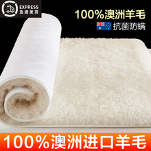 100%进口澳洲羊毛床垫软垫冬季床褥子加厚单人冬天保暖羊羔绒垫子