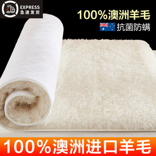 100%進(jìn)口澳洲羊毛床墊軟墊冬季 床褥子加厚單人冬天保暖羊羔絨墊子