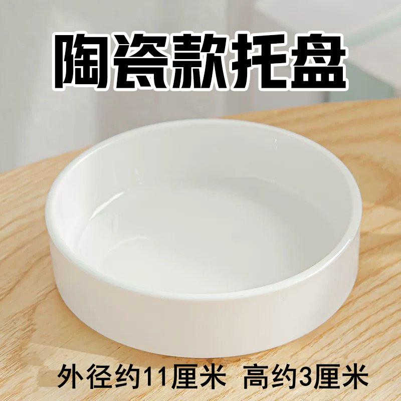 巴西木花盆陶瓷盆小动物食盆水培器皿白色简约现代无孔小花盆托盘