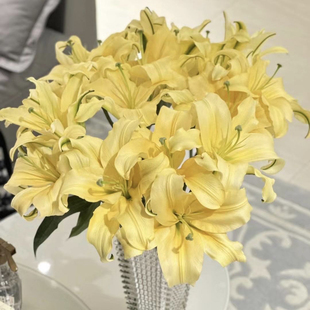 A级皇帝百合黄色黄帝香水大百合花鲜切花家庭办公供奉送长辈顺丰