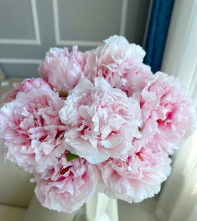 3~5月花季 A级牡丹鲜花雪印桃花雪映桃花鲜切花水养花瓶插花顺丰