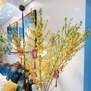 迎春花 荷兰寸寸金鲜切花年宵花新年明亮连翘鲜花喜庆 财源滚滚